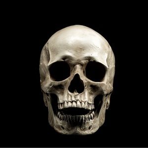 Meet your Posher, Xavier